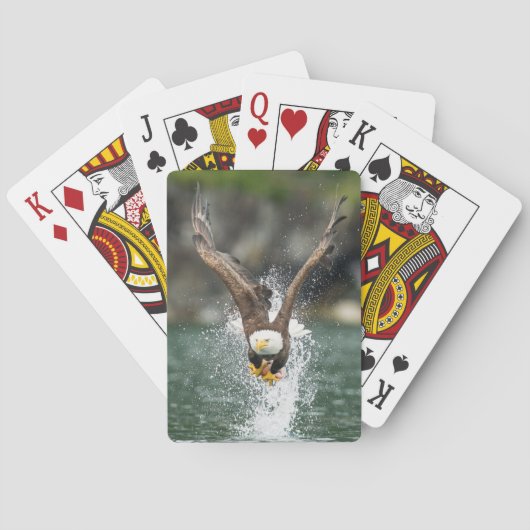 Bald Eagle Der große Fang Spielkarten (Rückseite)
