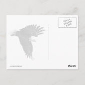 Bald Eagle Dive Postkarte (Rückseite)