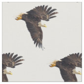 Bald Eagle Dive Stoff (Nahaufnahme)