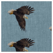 Bald Eagle Dive Stoff (Nahaufnahme)