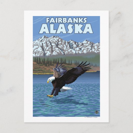 Bald Eagle Diving - Fairbanks, Alaska Postkarte (Vorderseite)