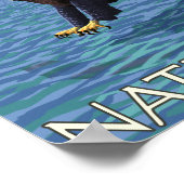 Bald Eagle Diving - Glacier National Park, MT Poster (Ecke)