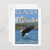 Bald Eagle Diving - Glacier National Park, MT Postkarte (Vorne/Hinten)