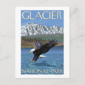 Bald Eagle Diving - Glacier National Park, MT Postkarte (Vorderseite)