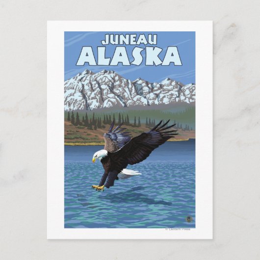 Bald Eagle Diving - Juneau, Alaska Postkarte (Vorderseite)