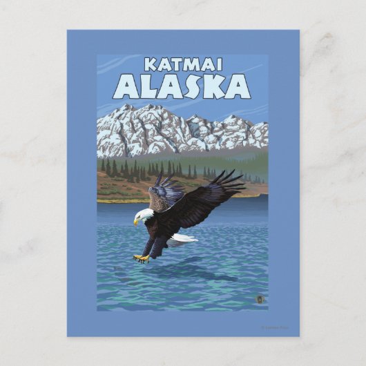 Bald Eagle Diving - Katmai, Alaska Postkarte (Vorderseite)