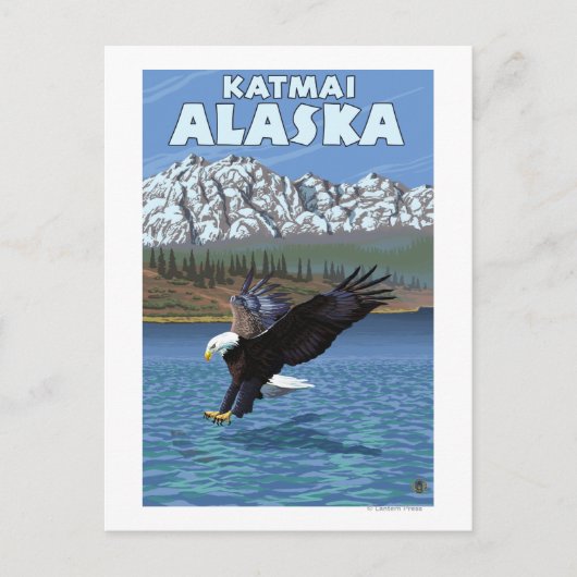Bald Eagle Diving - Katmai, Alaska Postkarte (Vorderseite)