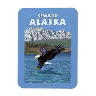 Bald Eagle Diving - Seward, Alaska Magnet