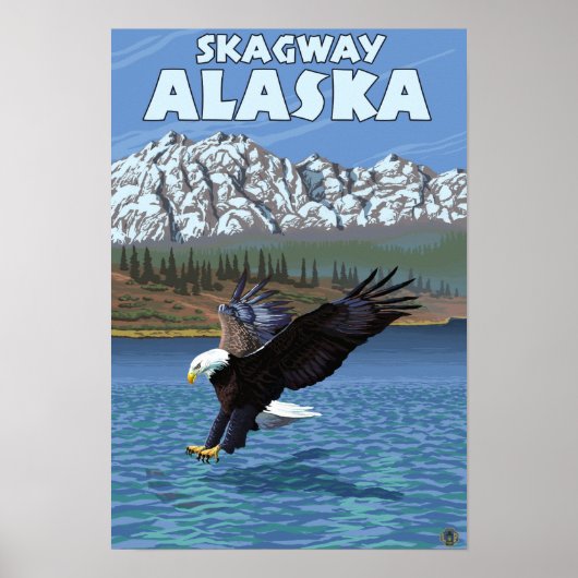 Bald Eagle Diving - Skagway, Alaska Poster (Vorne)