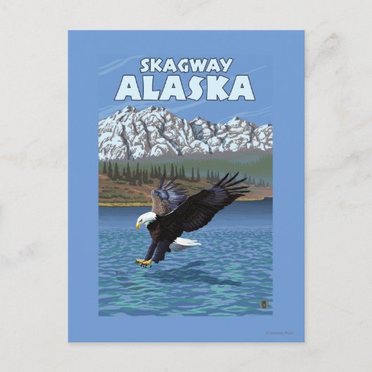 Bald Eagle Diving - Skagway, Alaska Postkarte (Vorderseite)