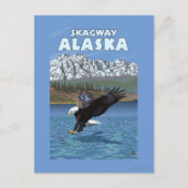 Bald Eagle Diving - Skagway, Alaska Postkarte (Vorderseite)