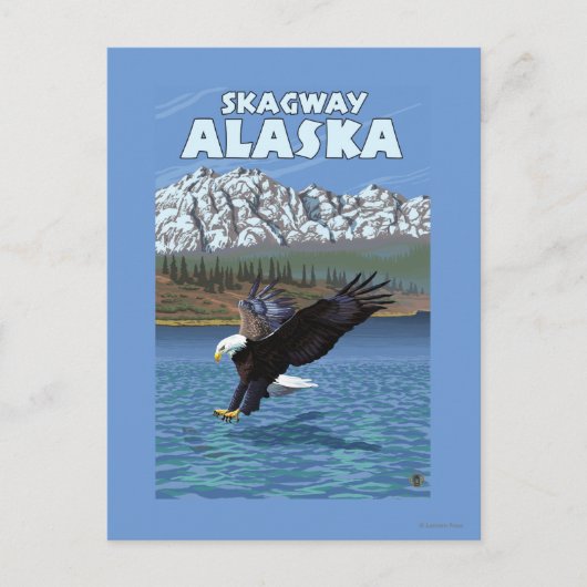 Bald Eagle Diving - Skagway, Alaska Postkarte (Vorderseite)