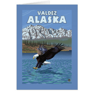Bald Eagle Diving - Valdez, Alaska