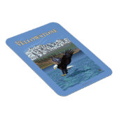 Bald Eagle Diving - West Yellowstone, MT Magnet (Rechte Seite)