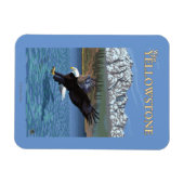 Bald Eagle Diving - West Yellowstone, MT Magnet (Horizontal)