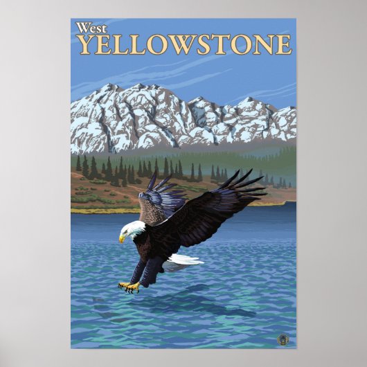 Bald Eagle Diving - West Yellowstone, MT Poster (Vorne)