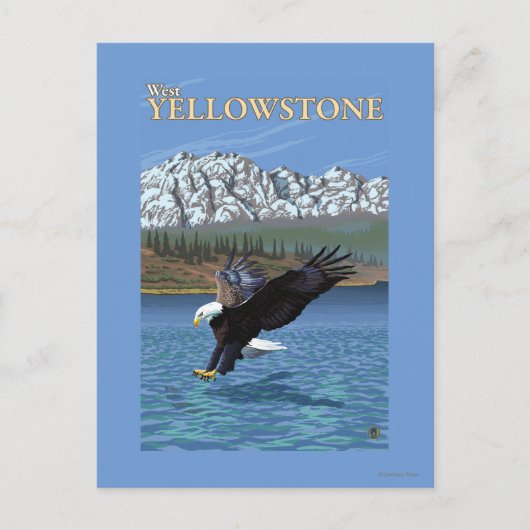 Bald Eagle Diving - West Yellowstone, MT Postkarte (Vorderseite)