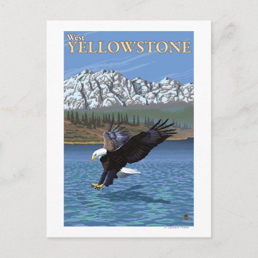 Bald Eagle Diving - West Yellowstone, MT Postkarte (Vorderseite)