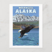 Bald Eagle Diving - Wrangell, Alaska Postkarte (Vorderseite)