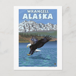 Bald Eagle Diving - Wrangell, Alaska Postkarte