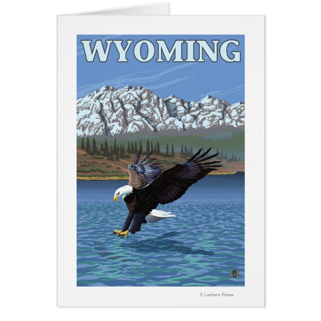 Bald Eagle Diving - Wyoming (Vorne)
