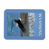 Bald Eagle Diving - Wyoming Magnet (Horizontal)