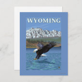 Bald Eagle Diving - Wyoming Postkarte (Vorne/Hinten)