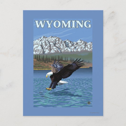 Bald Eagle Diving - Wyoming Postkarte (Vorderseite)