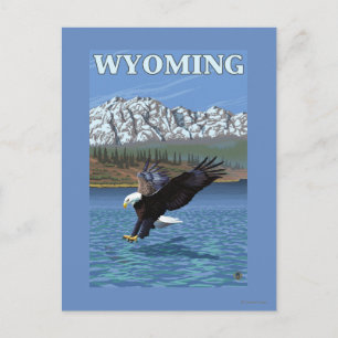 Bald Eagle Diving - Wyoming Postkarte
