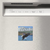 Bald Eagle Diving - Yellowstone Nationalpark Magnet (In Situ (Geschirrspüler))