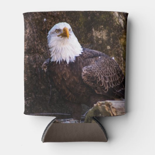 Bald Eagle Dosenkühler (Vorderseite)
