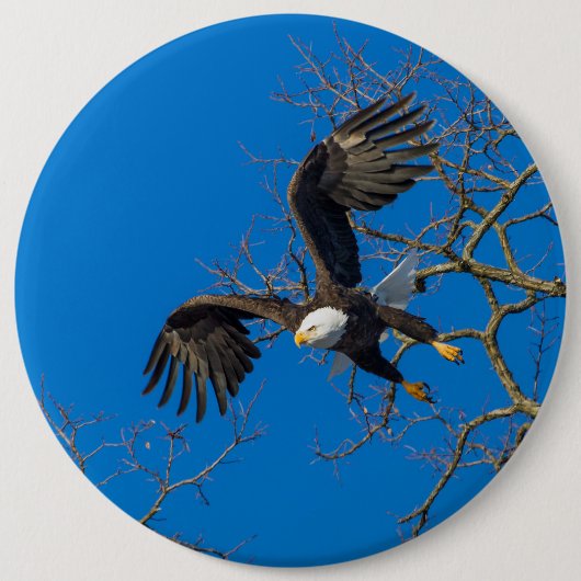Bald Eagle Drop Button (Vorderseite)