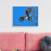 Bald Eagle Drop Leinwanddruck (Insitu (Wohnzimmer))