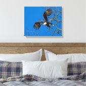 Bald Eagle Drop Leinwanddruck (Insitu (Schlafzimmer))