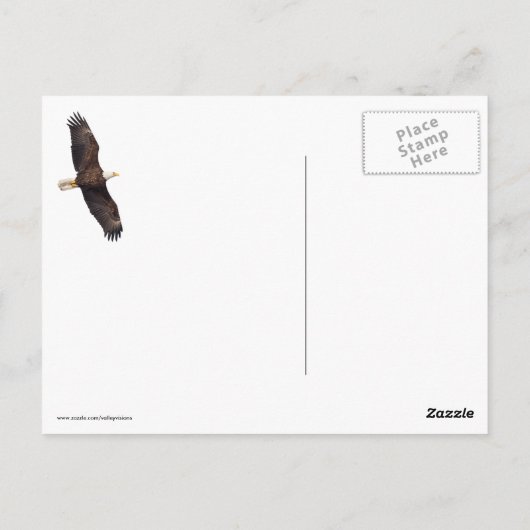Bald Eagle Drop Postkarte (Rückseite)