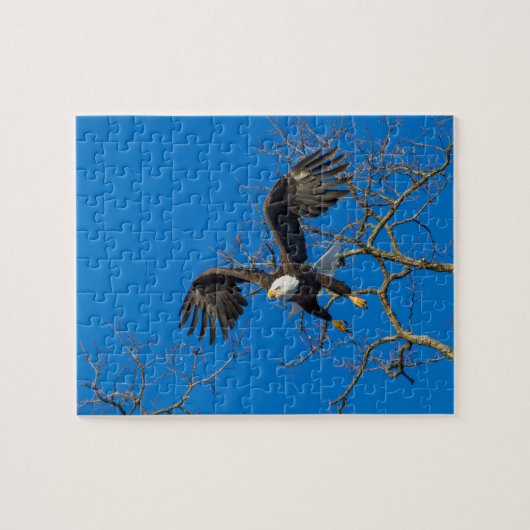 Bald Eagle Drop Puzzle (Horizontal)