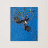 Bald Eagle Drop Puzzle (Vertikal)