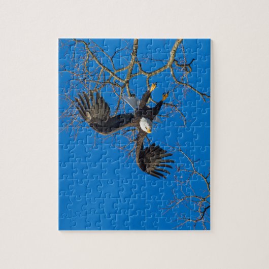 Bald Eagle Drop Puzzle (Vertikal)