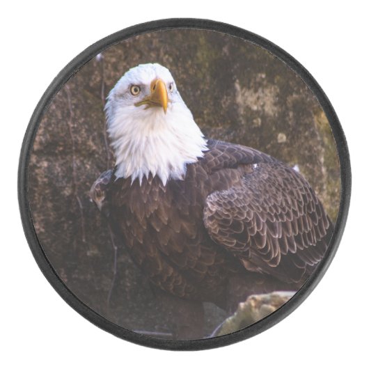 Bald Eagle Eishockey Puck (Vorderseite)