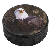 Bald Eagle Eishockey Puck (3/4)