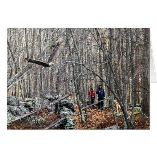 Bald Eagle Encounter (Vorderseite (Horizontal))