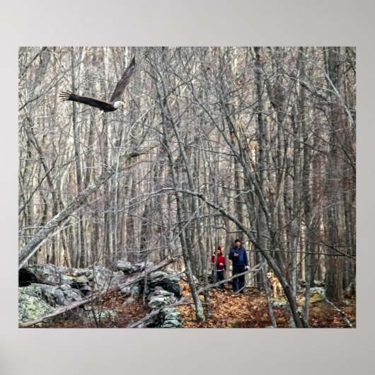 Bald Eagle Encounter Poster (Vorne)