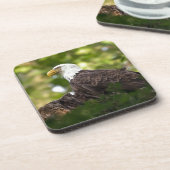 Bald Eagle Erholung Stopp Getränkeuntersetzer (Linke Seite)