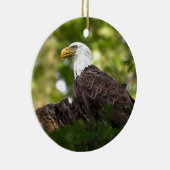 Bald Eagle Erholung Stopp Keramikornament (Rechts)