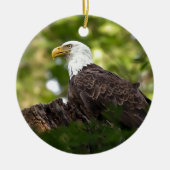 Bald Eagle Erholung Stopp Keramikornament (Vorne)
