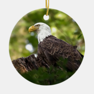 Bald Eagle Erholung Stopp Keramikornament