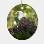 Bald Eagle Erholung Stopp Keramikornament (Links)