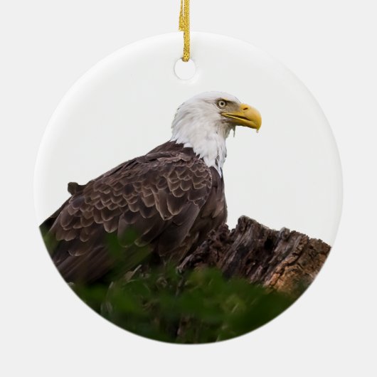 Bald Eagle Erholung Stopp Keramikornament (Hinten)