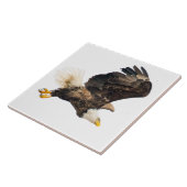 Bald Eagle Eyes Sein Preis mit weißem Hintergrund Fliese (Seite)