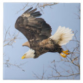 Bald Eagle Eyes seinen Preis Fliese (Vorderseite)